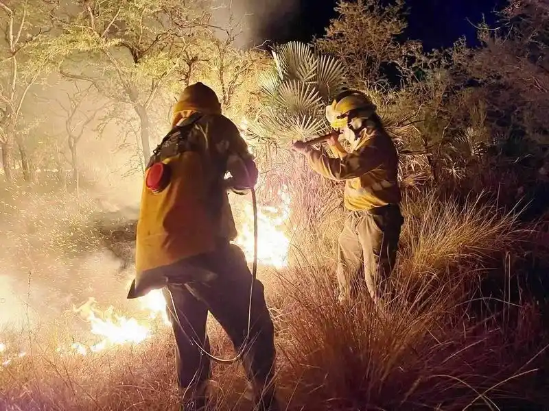 Bomberos combatieron un incendio de 
pastizales que afectó 450 hectáreas de campo