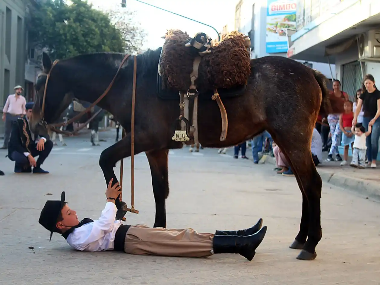 "El Freno": Tradición, cultura y pasión en la Tercera Muestra de Aperos