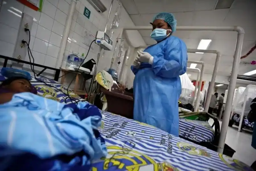 El mecanismo descubierto, que fue publicado en la revista PNAS, se encuentra activo en el serotipo 2 del virus del dengue. No está en el serotipo 4