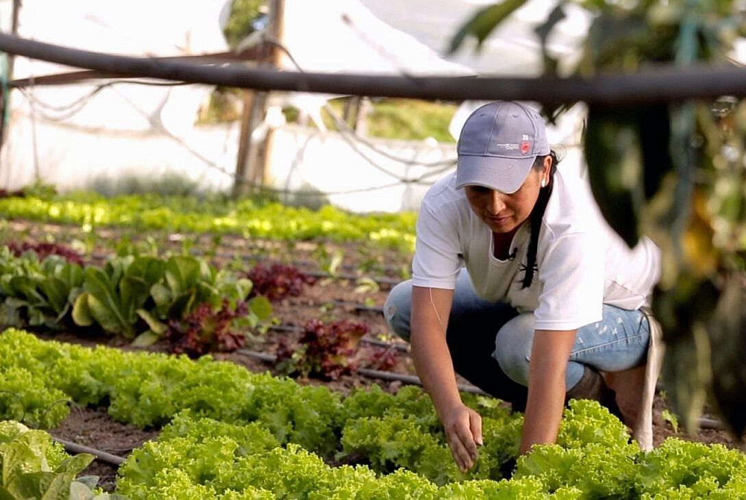 Diputados entrerrianos piden que continúe el Programa de Agricultura Familiar