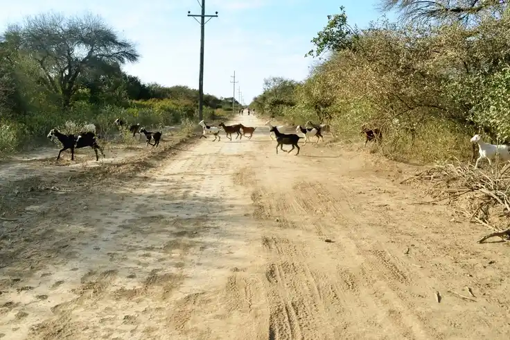 La localidad salteña de Rivadavia alcanzó hoy la temperatura más alta del mundo con 46 grados
