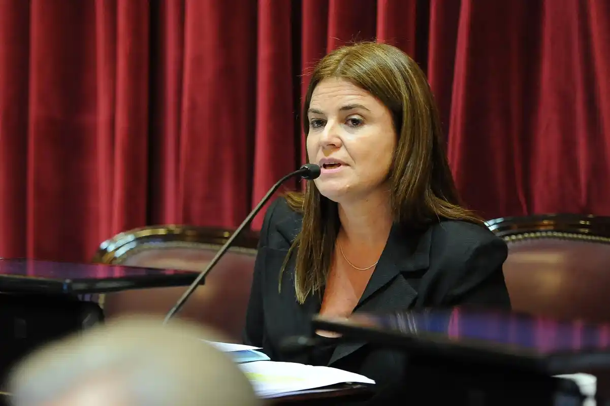 Kunath: "Es un aporte desde los DD.HH. y la diversidad sexual"