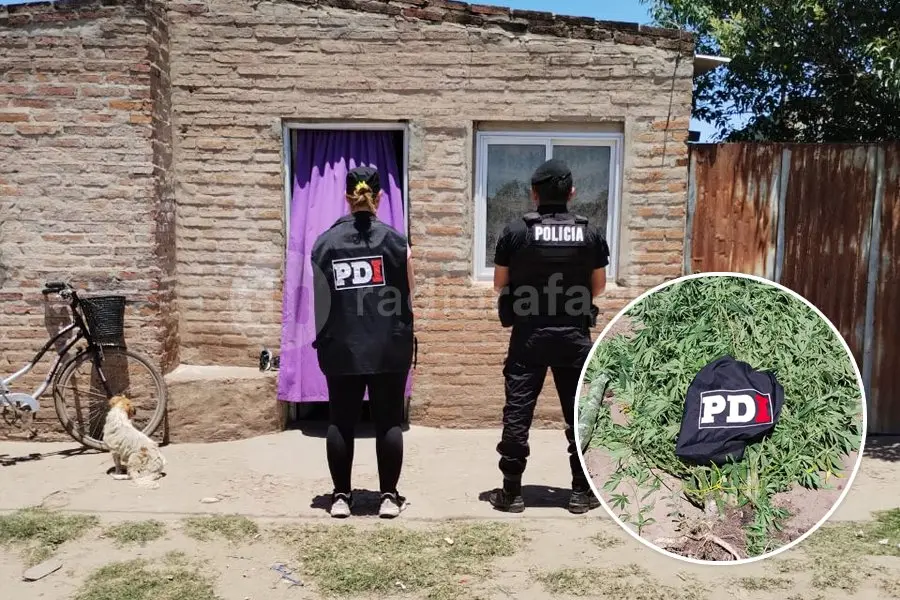 Robo millonario a un hombre atado y bajo amenazas con un cuchillo: detuvieron a un hombre en la región