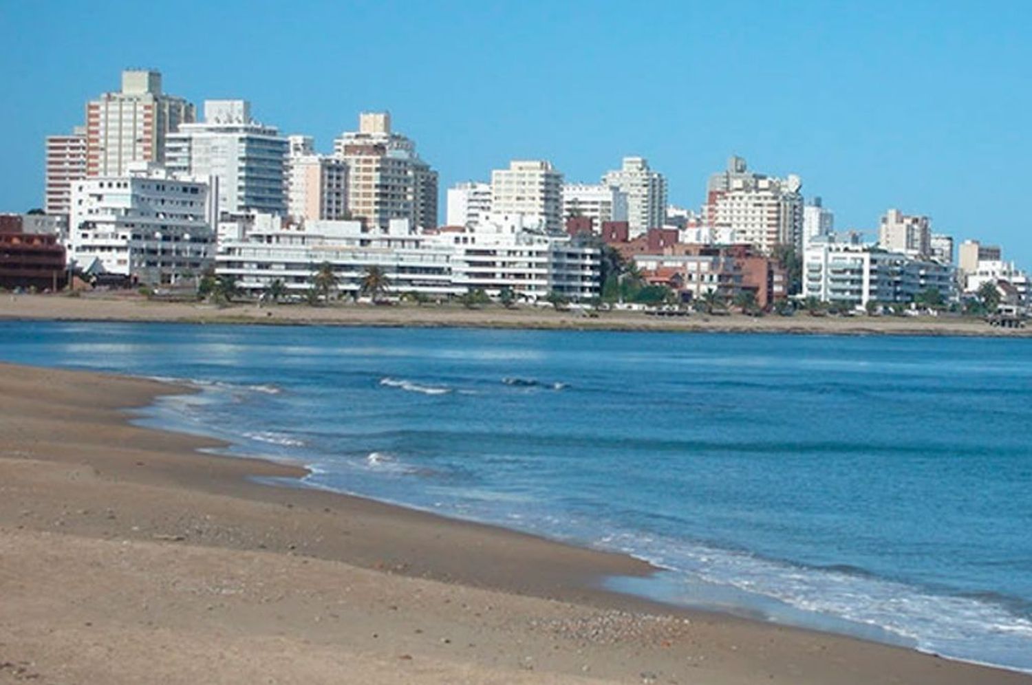 Hallazgo macabro: juntaba caracoles en una playa de Punta del Este y encontró una mano