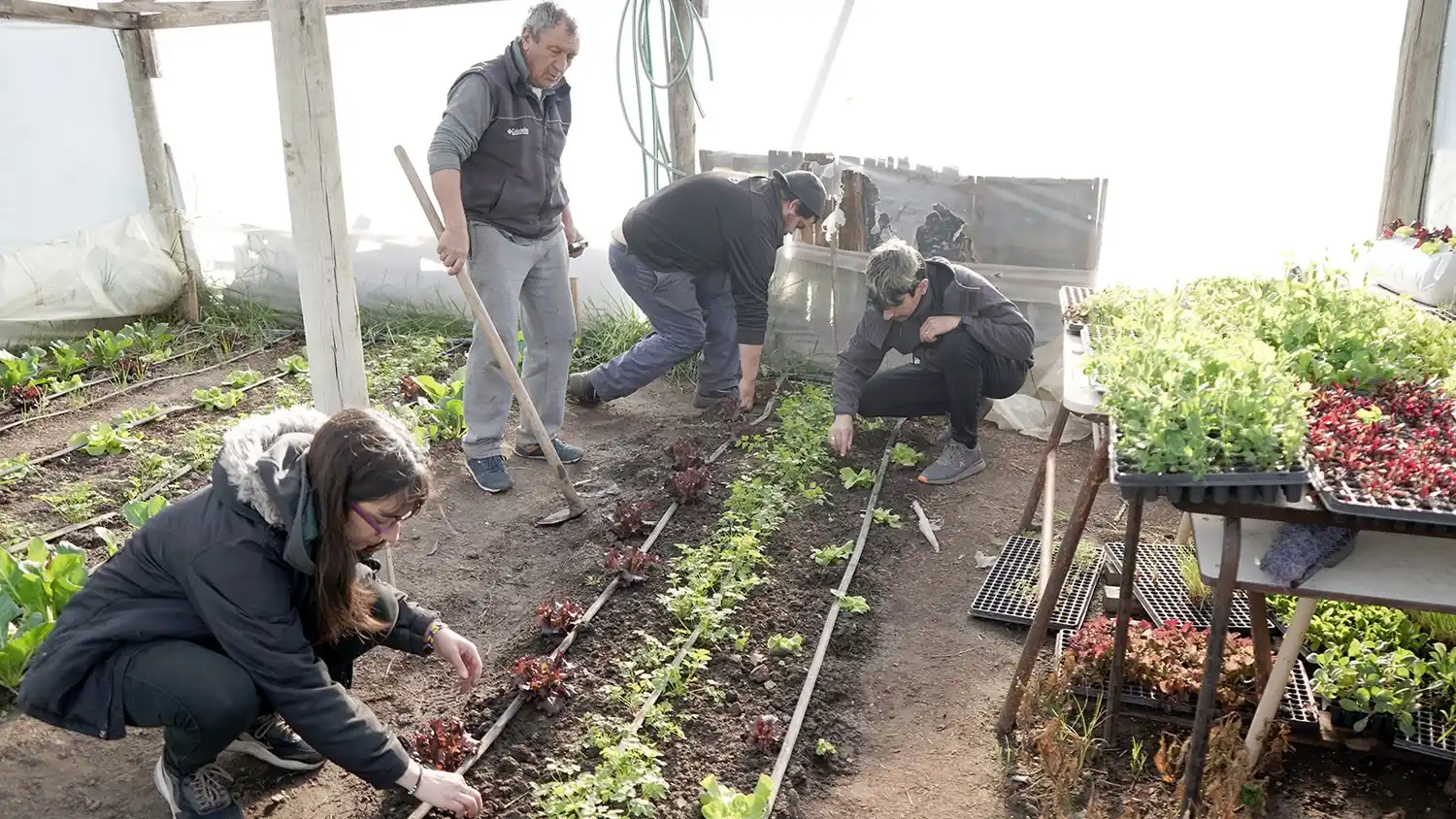 Huerta. El taller comenzará el próximo miércoles