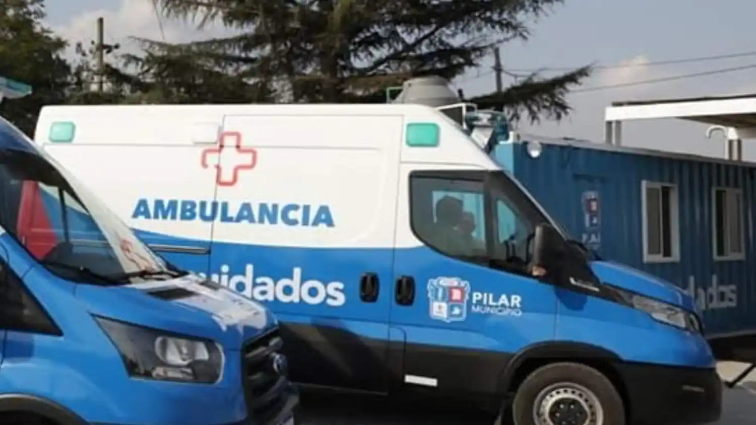 Tragedia en Pilar: un hombre de 80 años murió aplastado por un árbol que se le cayó encima mientras podaba