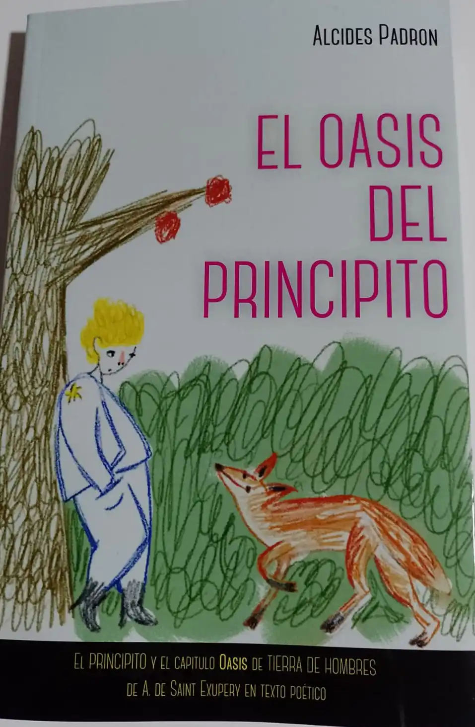 El poeta Alcides Padrón presentó su libro “El Oasis del Principito”
