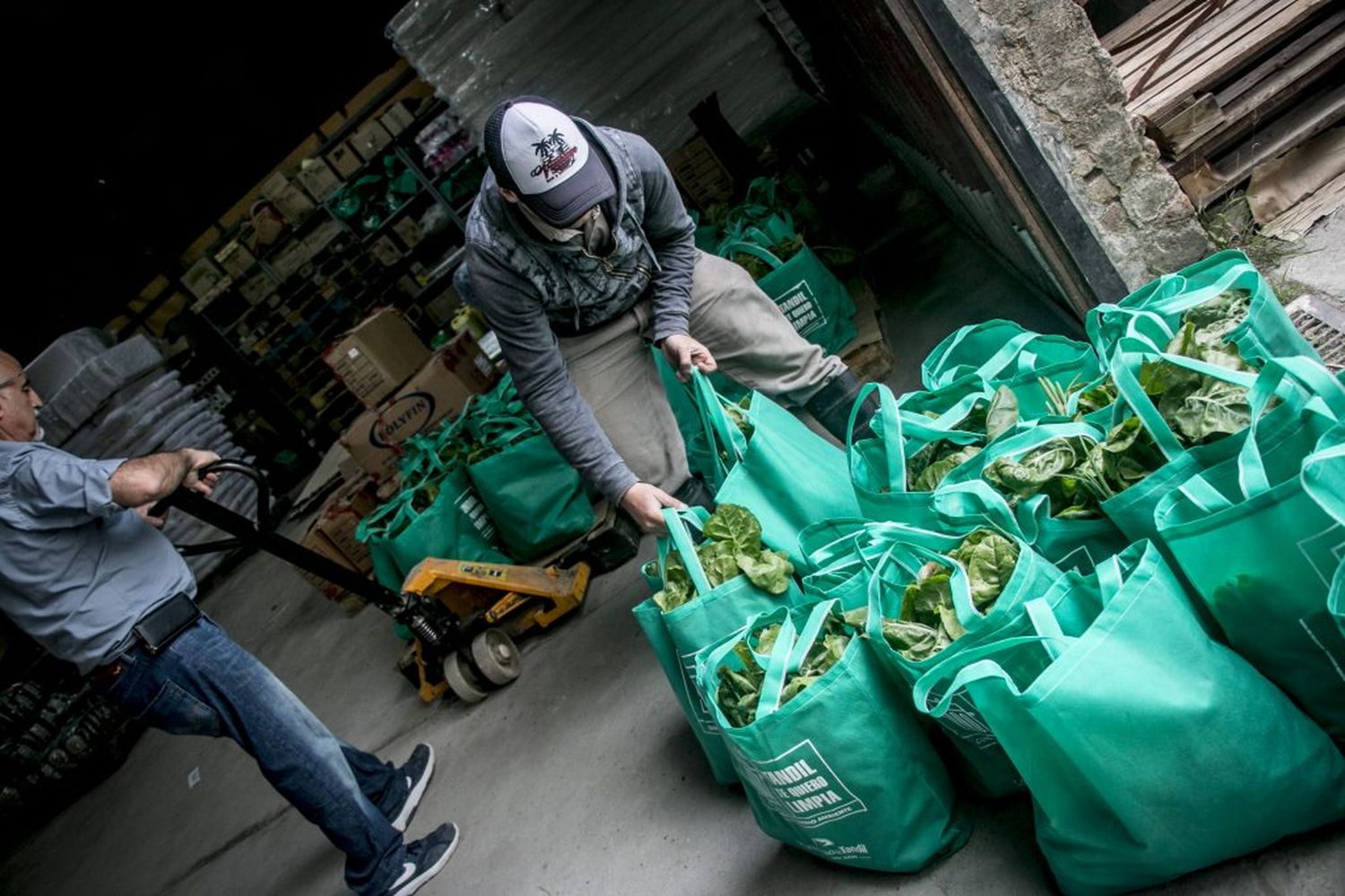 Realizarán la primera venta al público de verdura fresca y natural cosechada en huertas