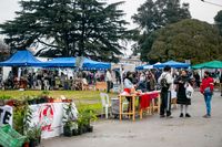 Con un gran flujo de gente, se realizó la Feria de la Economía Popular