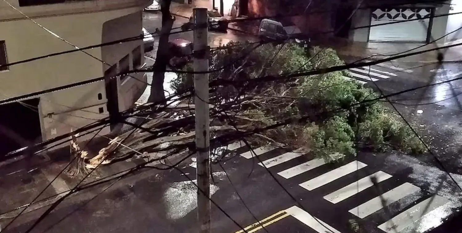 La víctima, de 74 años, estaba en la vereda cuando ocurrió la tragedia