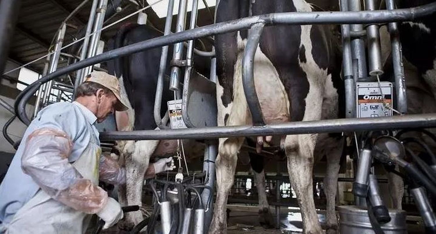 Por primera vez en su historia, Argentina tiene menos de 10.000 tambos activos