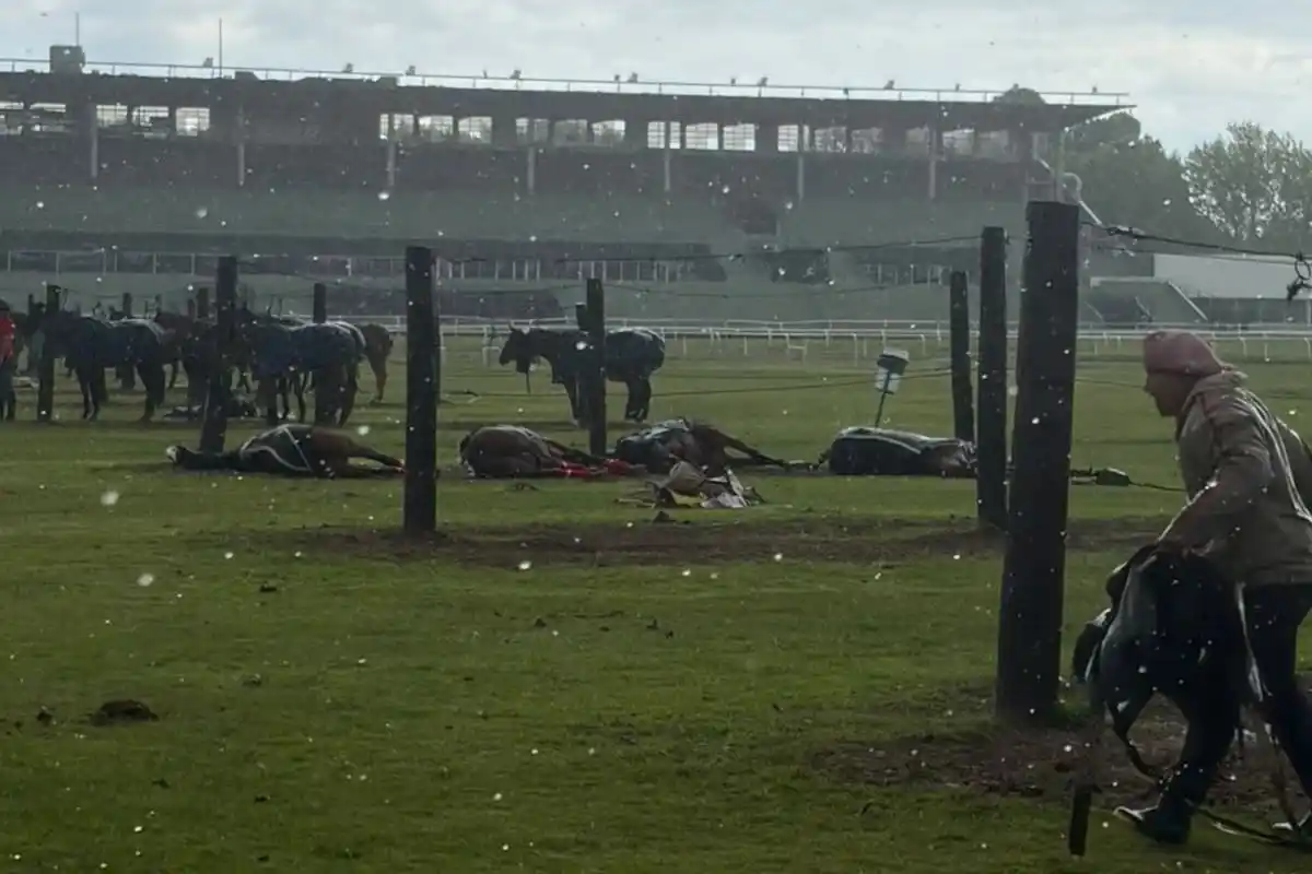 Un rayo mató a cuatro yeguas de polo en el Jockey Club