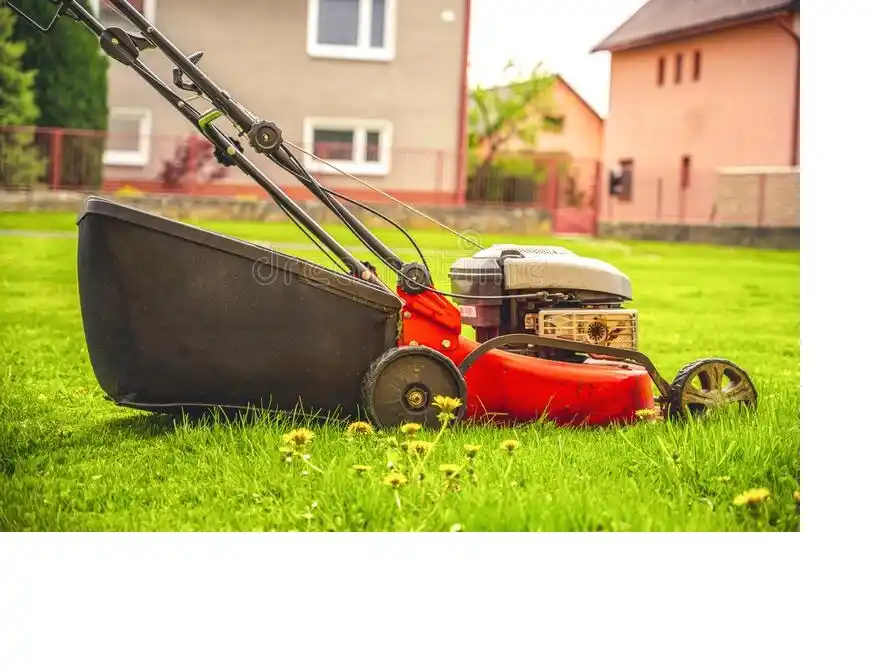 De ruidos, molestias e inventos