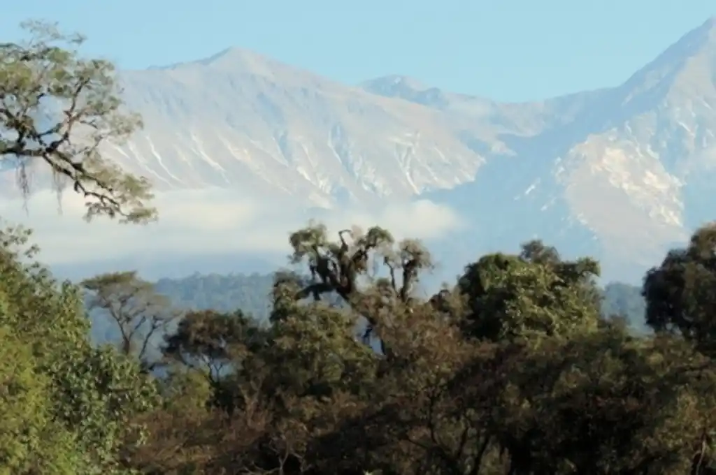 Se inició la búsqueda tras detectar la ausencia del turista que se registró formalmente para recorrer Laguna del Tesoro.
