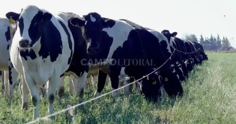 El sector tambero santafesino recibió con cautela la publicación en el Boletín Oficial del decreto 506/23.
