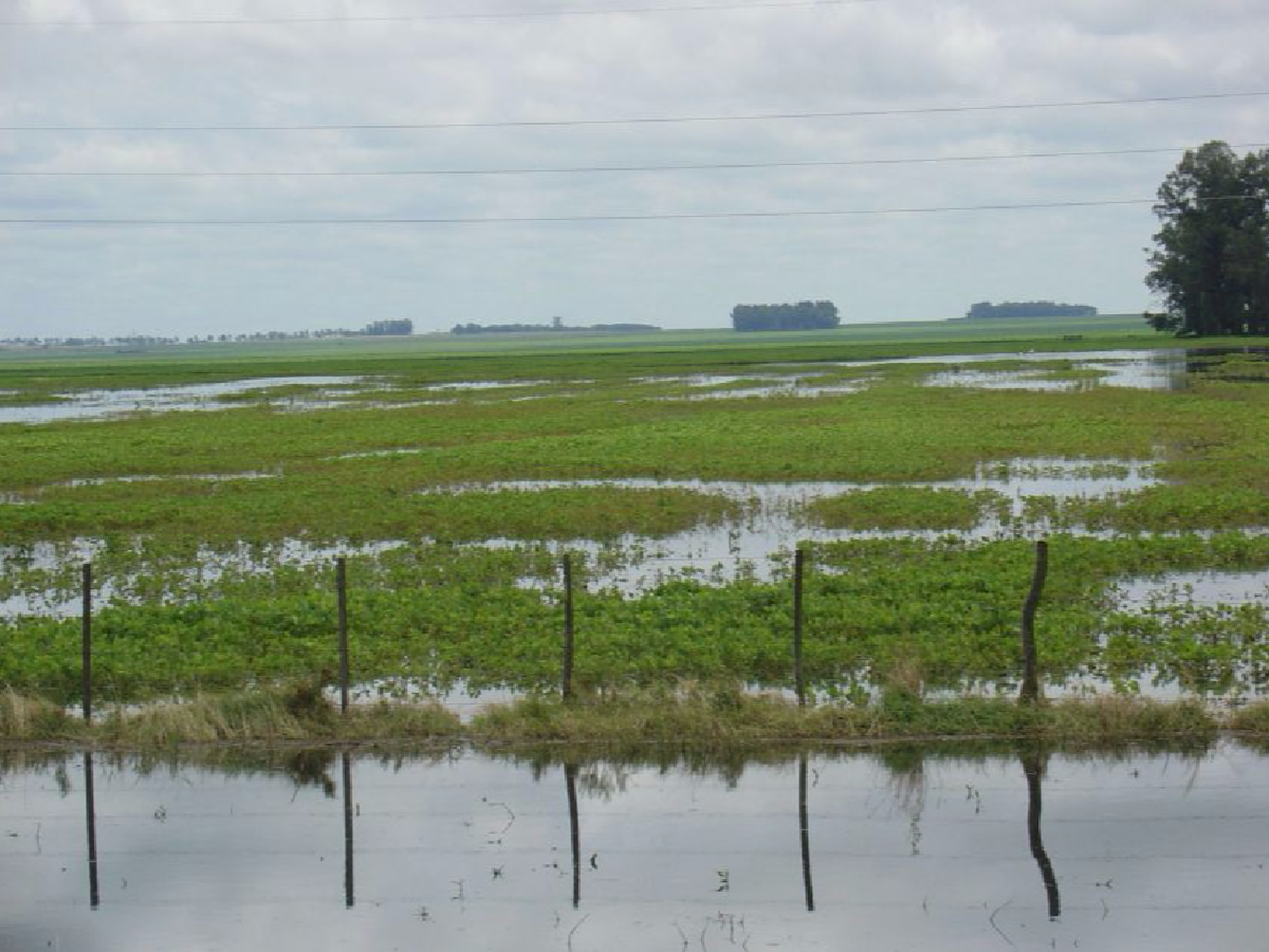 Córdoba prorroga la Emergencia Agropecuaria hasta fin de año