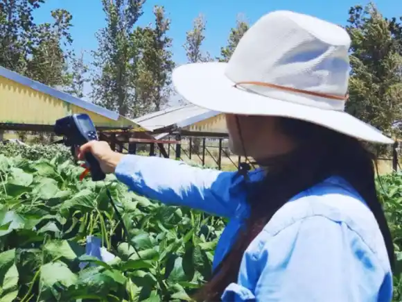 Agricultores entrerrianos invertirán poco más de 841 millones de dólares durante la campaña 2025/26