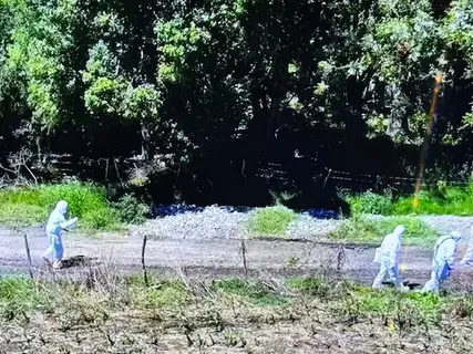Se revelaron los resultados preliminares de la autopsia sobre la joven que fue encontrada muerta en Entre Ríos.