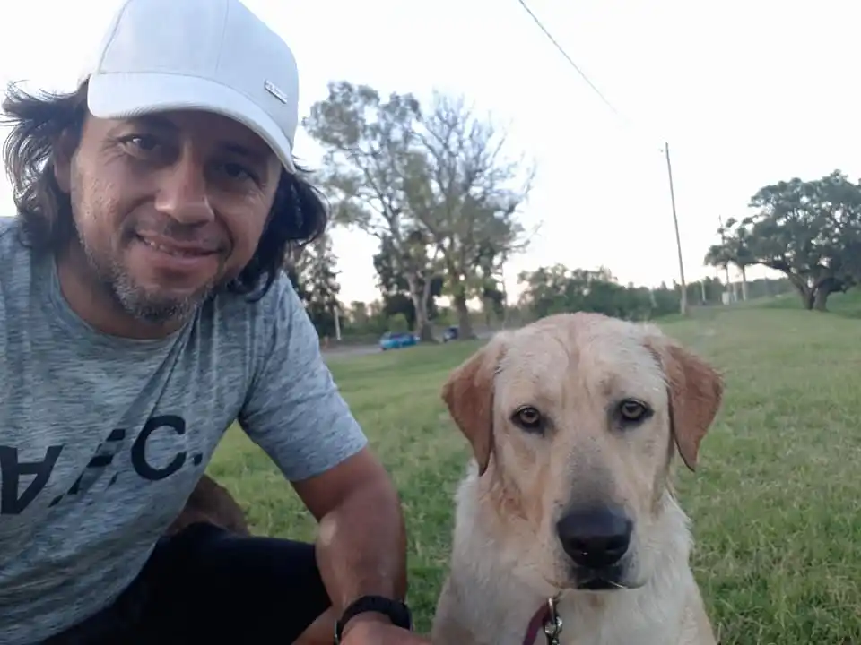 Una idea orientada hacia la problemática de los perros callejeros