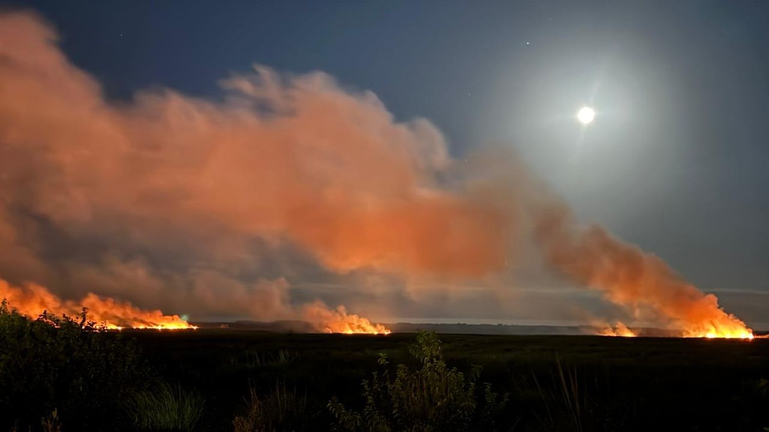 Se incendió el Parque Nacional Ciervo de los Pantanos de Campana: Los bomberos trabajaron arduamente