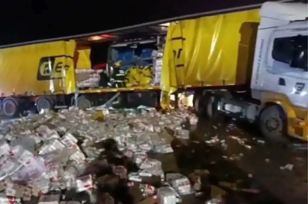 El camión involucrado habría salido desde la banquina tras realizar una parada en una gomería.