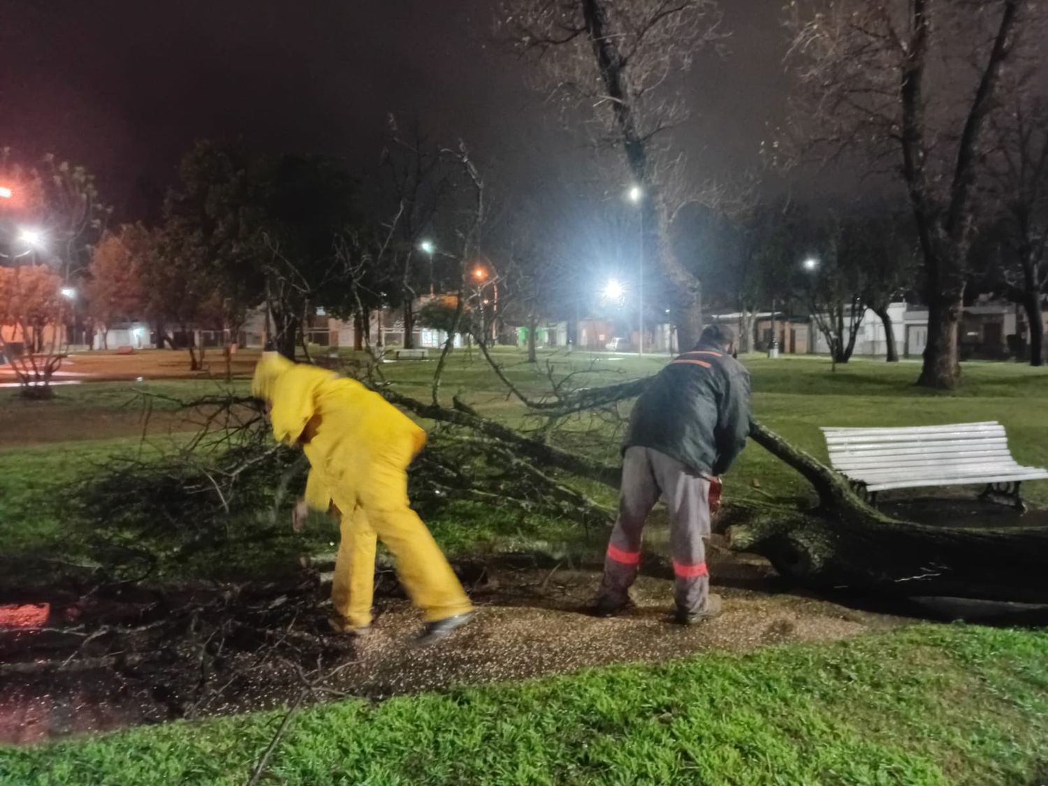 El fenómeno se sintió en toda la ciudad y provocó la caída de 28 árboles y numerosas ramas que interrumpieron la circulación en diferentes calles.