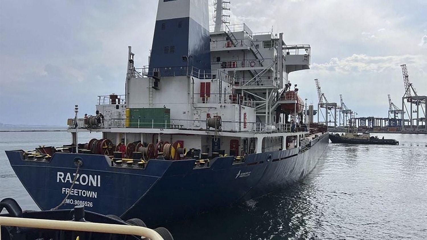 Partió desde Ucrania el primer barco con cereales tras los entendimientos con Rusia