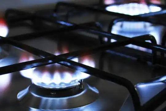 El Gobierno oficializó la postergación para enero de la suba en la tarifa de gas