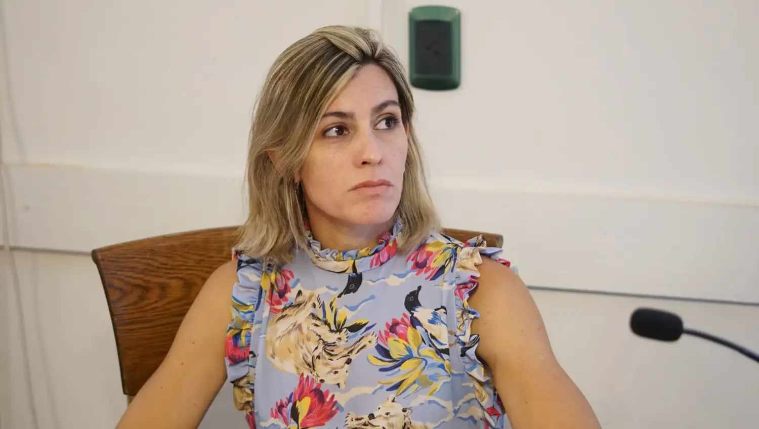 “La democracia no es solo un principio escrito en la Constitución Nacional, sino que debe garantizarse", aseguró la concejal.