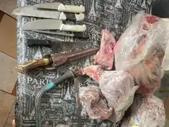 Tras una serie de allanamientos en Tandil, desbarataron una banda dedicada al abigeato en la región