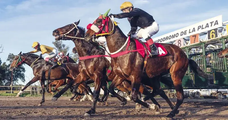 Jueves 13: Actividad Hipódromo de La Plata
