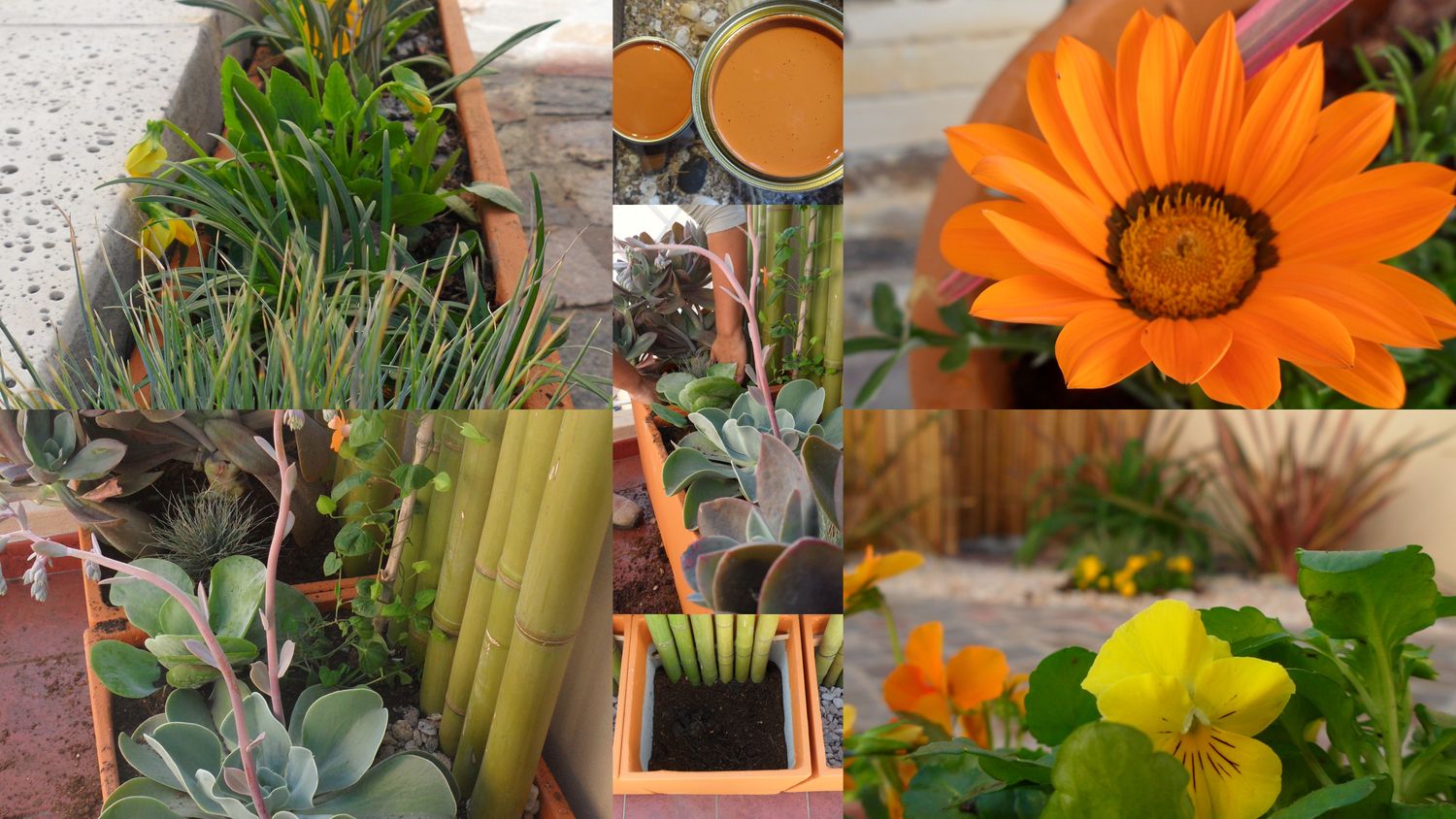 Exteriores: plantas que se lucen en invierno y en verano