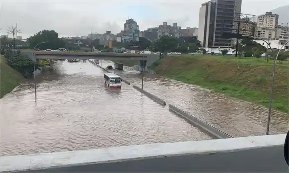 AGUACERO en Caracas: calles inundadas y árboles caídos (+Videos)