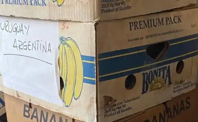 El mecanoscrito fue encontrado -junto a otros objetos mientras- el hijo del coleccionista limpiaba durante la pandemia de coronavirus.