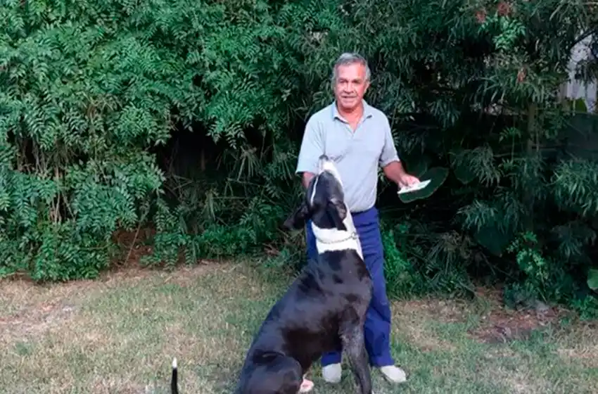 El sistema de identificación animal que creó un marplatense y servirá para hallar perros perdidos