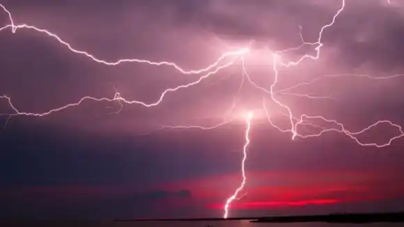 ¡CATATUMBO NEWS!: ¿Asesino o juguetón? El relámpago zuliano retumbó duro en las redes sociales