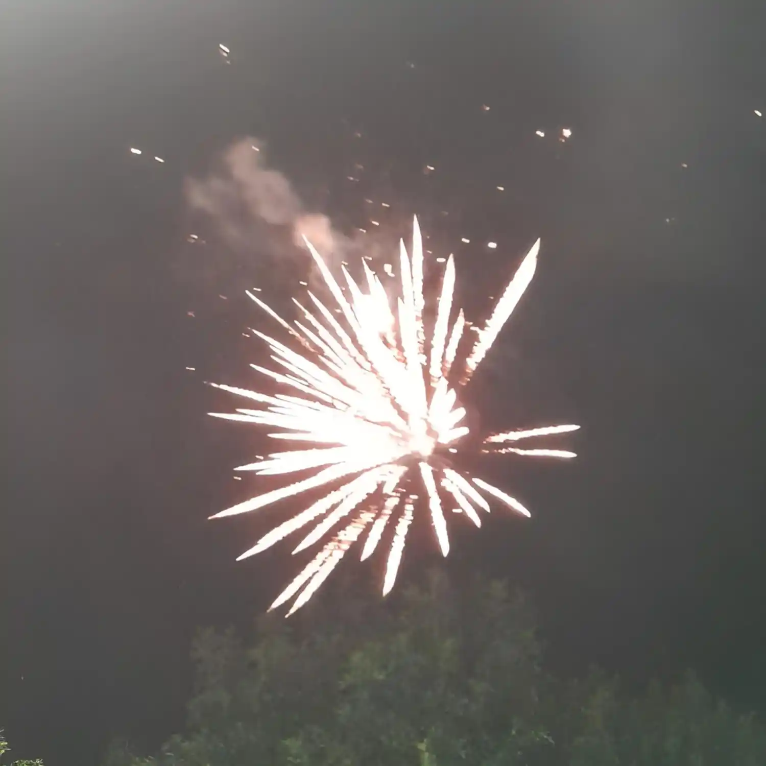 Así se vieron los fuegos artificiales durante Año Nuevo.