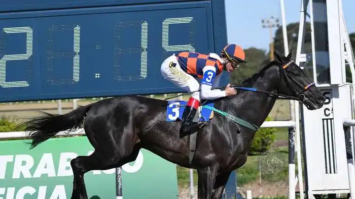 Domingo 8: Actividad Hipódromo de San Isidro