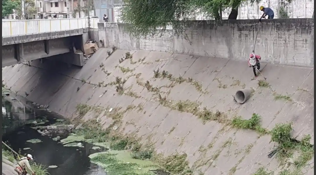 Vecinos se asustaron por gritos debajo de un puente: al revisar, encontraron una orgía