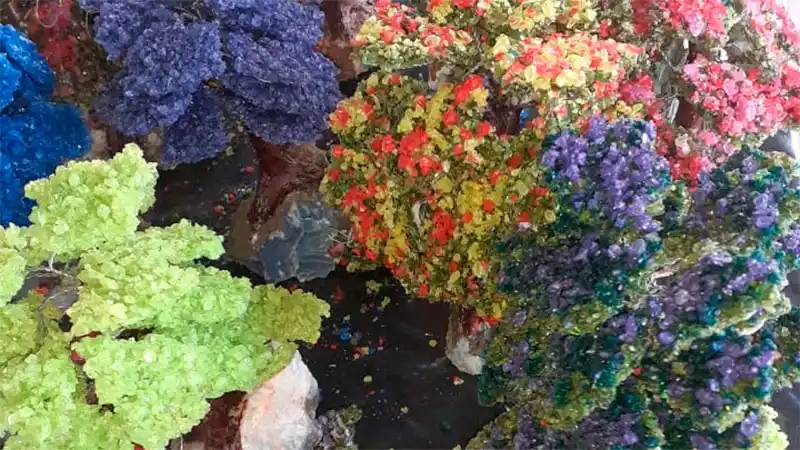 Incautaron más de 150 kilos de piedras semipreciosas en la Autovía 14