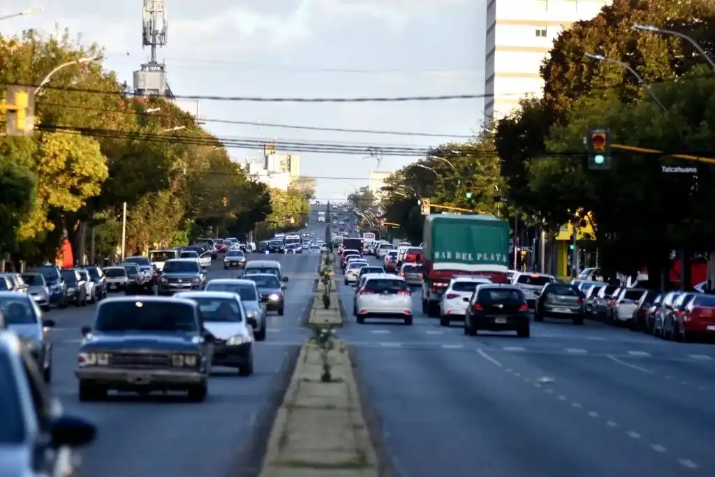 Piden suspenderlas por 180 días