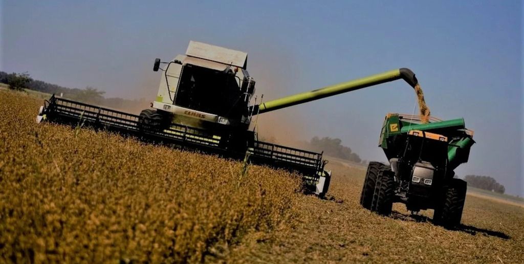 El sector agroexportador liquidó U$S 1.117 millones en octubre
