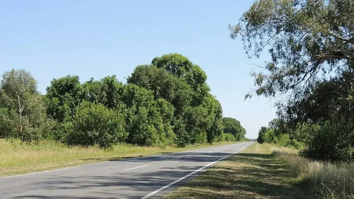 Tres personas murieron atropelladas mientras cambiaban un neumático en la Ruta Provincial 65 - 2