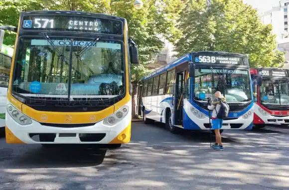 Habrá colectivos este viernes en Mar del Plata
