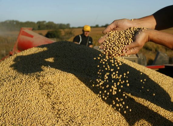 "Si el gobierno no avanza con algún plan van a quedar muchos productores en el camino”