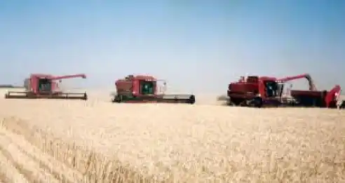 Emitirán certificado para que productores de trigo recuperen retenciones