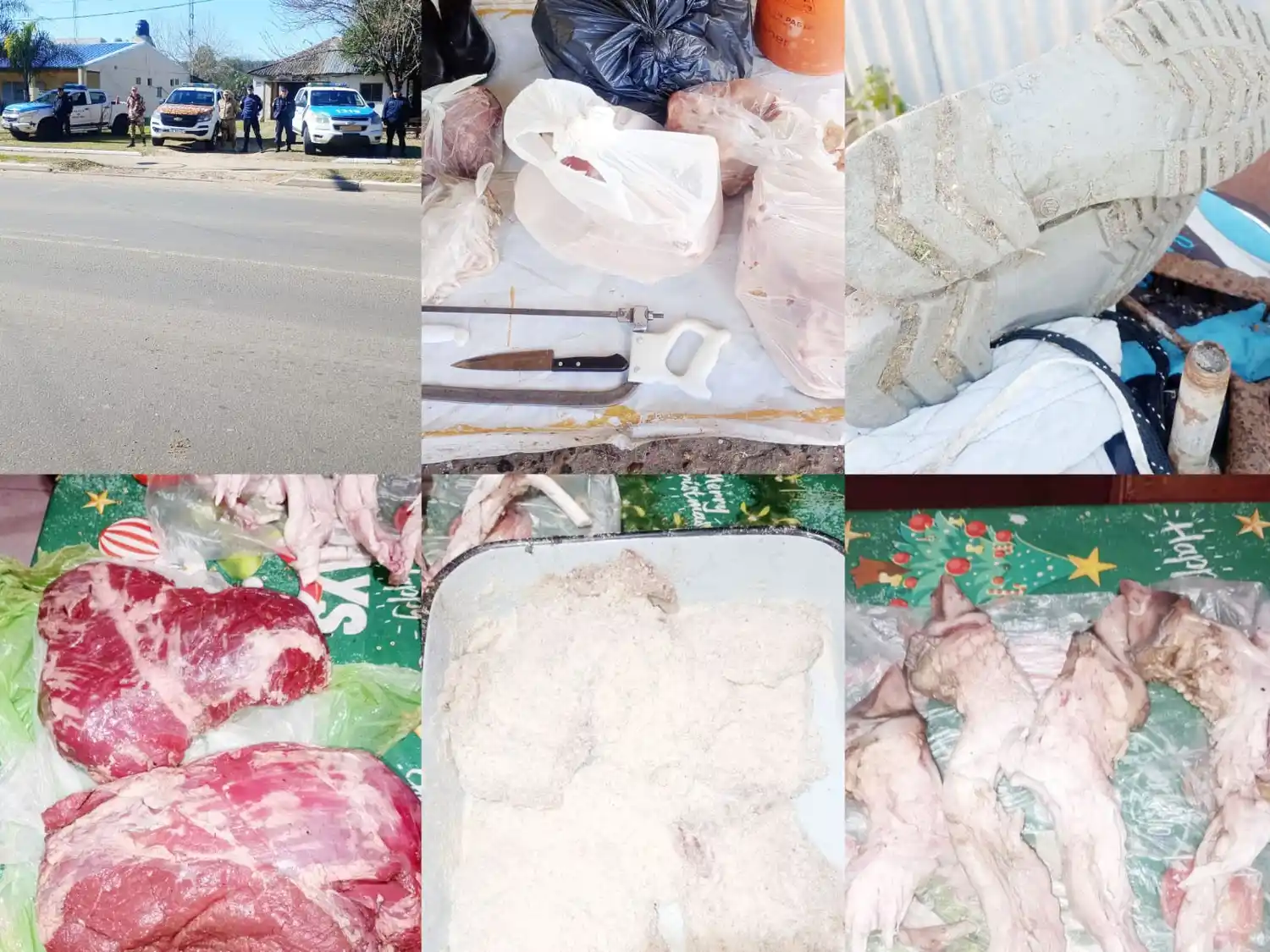 Allanamientos positivos por abigeato en Calabacilla