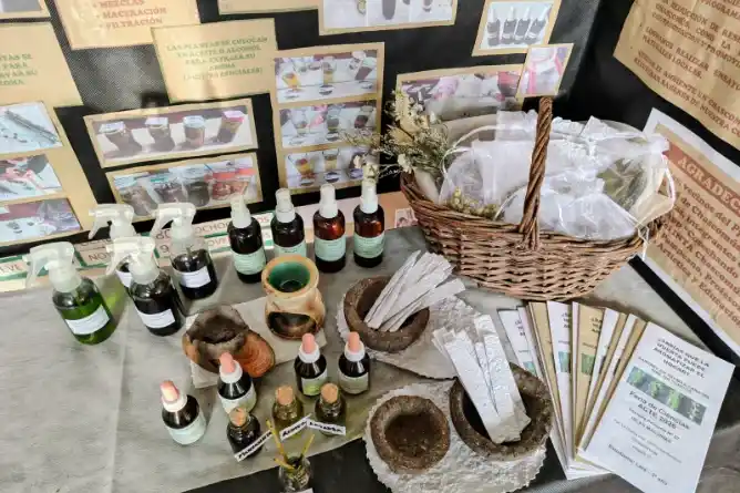 La huerta escolar inspira un proyecto científico para crear aromatizantes naturales