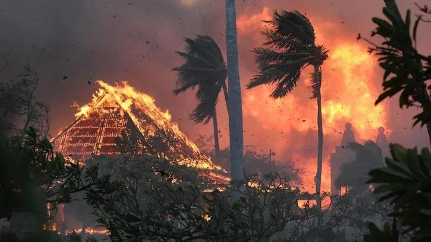 Al menos 6 muertos y varios heridos dejan incendios forestales en Hawái (Video)