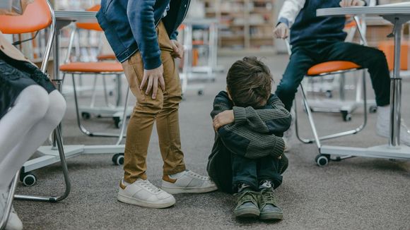 Bullying, violencia y falta de contención: el desafío de ser niño en tiempos de sobreestimulación